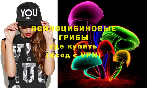 дживик Надым